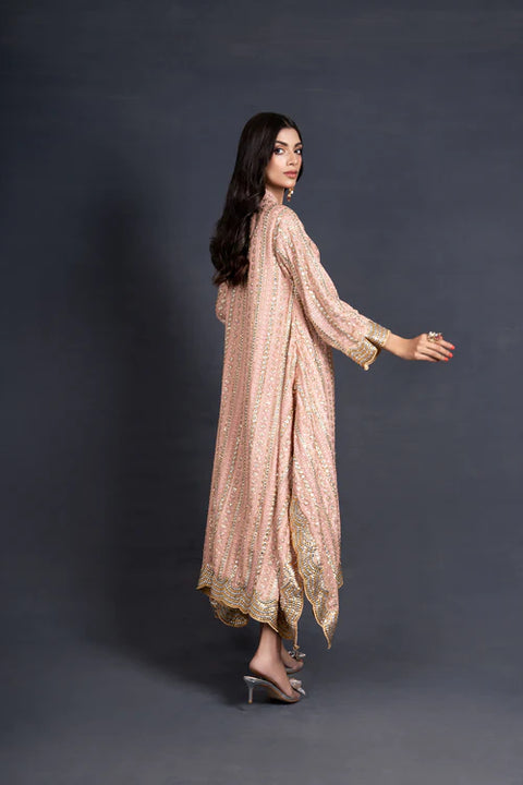 Organzab duppatta with edging